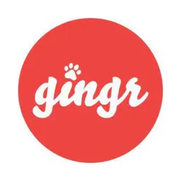 Gingr